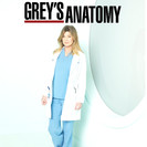 Grey's Anatomy - Dans la tourmente artwork
